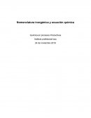 Nomenclatura inorgánica y ecuación química . Química en procesos Productivos