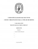 CASO APLICATIVO “HILTON MANUFACTURING COMPANY”