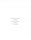 Movimiento: Las Leyes de Newton