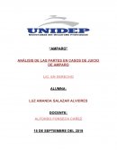 ANÁLISIS DE LAS PARTES EN CASOS DE JUICIO DE AMPARO