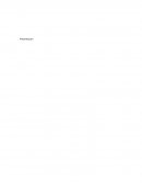 Presentacion Manual de la organización