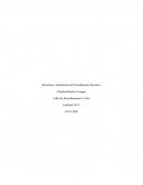 Estructura y tramitación de Procedimiento Ejecutivo