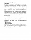 Estrategias de Publicidad y Promoción