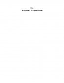 VEGANISMO VS OMNIVORISMO