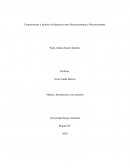 Características y factores de diferencia entre Macroeconomía y Microeconomía