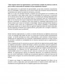 Impacto de las organizaciones