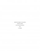 Aplicación Seis Sigma en caso ejemplo. Gestión de calidad