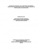 ESTUDIO DE FACTIBILIDAD EN LA CREACIÓN DE UNA EMPRESA PRODUCTORA DE BOLSOS PARA DAMA EN LA CIUDAD DE IBAGUÉ CON PROYECCIONES A LA EXPORTACIÓN