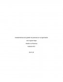 Características de la gestión de personas en la organización
