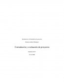 Mercado y técnica, Evaluación financiera. Evaluación Económica Análisis Riesgos Críticos