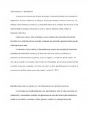 Tecnología y Sociedad