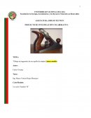 Dibujo de ingeniería de un cepillo de madera