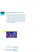 La Consultora Especializada en Comercio Internacional (CECI)