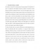 Psicologia del desarrollo. Descripción del niño y su familia