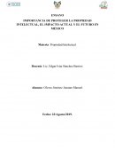 IMPORTANCIA DE PROTEGER LA PROPIEDAD INTELECTUAL, EL IMPACTO ACTUAL Y EL FUTURO EN MÉXICO