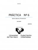 Salud Laboral y Prevención EHU/UP Práctica 6