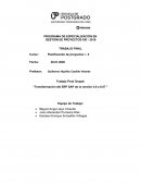 Trabajo Final Grupal: “Transformación del ERP SAP de la versión 4.0 a 6.07 ”