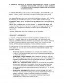 Plan Estratégico Horizonte 2015