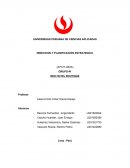 Dirección y planificación Neo Hotel Boutique