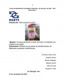 Práctica #5: “Mermelada De Piña”