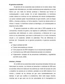 El Genoma Eucariote