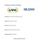 Control de calidad, visita a empresa Gildan Activewear Inc