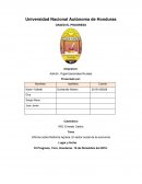 Informe sobre Reforma Agraria, El sector social de la economía