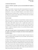 CASO DE ESTUDIO MANGO