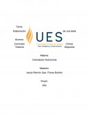 Elaboración de una dieta
