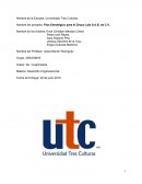 Plan Estratégico para el Grupo Lala S.A.B. de C.V