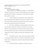 INFORME PRELIMINAR DE AUDITORIA A LOS ESTADOS FINANCIEROS