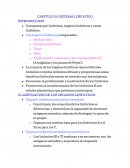 SISTEMA LINFATICO