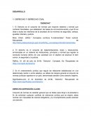 DESARROLLO DERECHO Y DERECHO CIVIL
