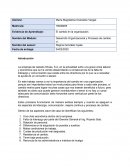 Desarrollo Organizacional y Procesos de cambio v1