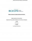 Caso Práctico: SISTEMAS DE FORMACIÓN EN LA EMPRESA