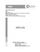 Organización y Estrategia