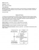 Servicio de Hotel Sistema del Turismo