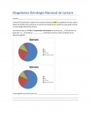 Formato Estructura Diagnóstico Estrategia Nacional de Lectura