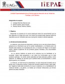 Unidad Especializada de la Policía para la Atención de la Violencia Familiar y de Género