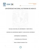 LA NATURALEZA DE LA ENFEREMERIA