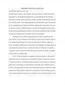 MIRANDO A TRAVES DE LA PANTALLA