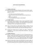 Estudio de Champiñones