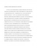 ASAMBLEA GENERAL ORDINARIA