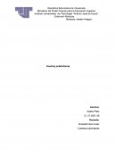 CUENTAS PUBLICITARIAS