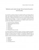 Relatoria cuarta sesion cte entre niveles