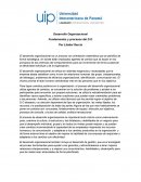 Fundamentos y procesos del D.O