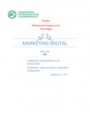 Ensayo de película her