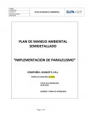 PLAN DE MANEJO AMBIENTAL SEMIDETALLADO “IMPLEMENTACION DE PARALELISMO”