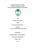 ENFOQUE METODOLOGICO. PROYECTO DE INVESTIGACIÓN