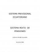 Sistema previsional ecuatoriano. Sistema mixto de pensiones